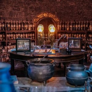 Harry Potter Warner Bros. Studio Tour London with Transport